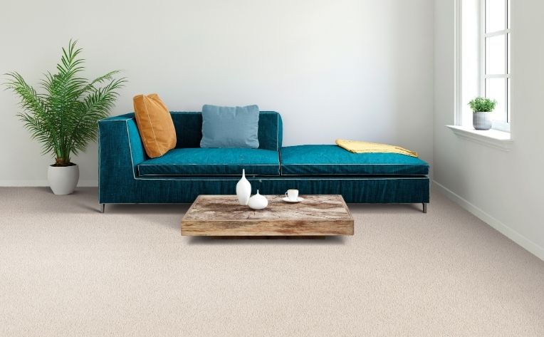 contrasting furniture light carpet flooring